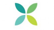 Mint Dental