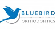 Bluebird Orthodontics