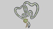Sweetgrass Dental Associates