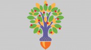 Pediatric Dentistry Of Matthews