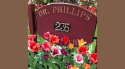 Phillips Dentistry Llc