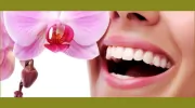 Bella Terra Dental