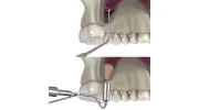 Steven Goodman, DDS