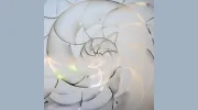 Fibonacci Smile